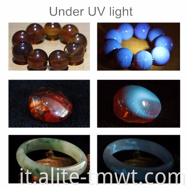 Torcia UV a LED ultravioletta ricaricabile Blacklight Torcia UV con zoom